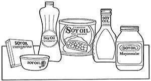 illustration of products made from soybeans