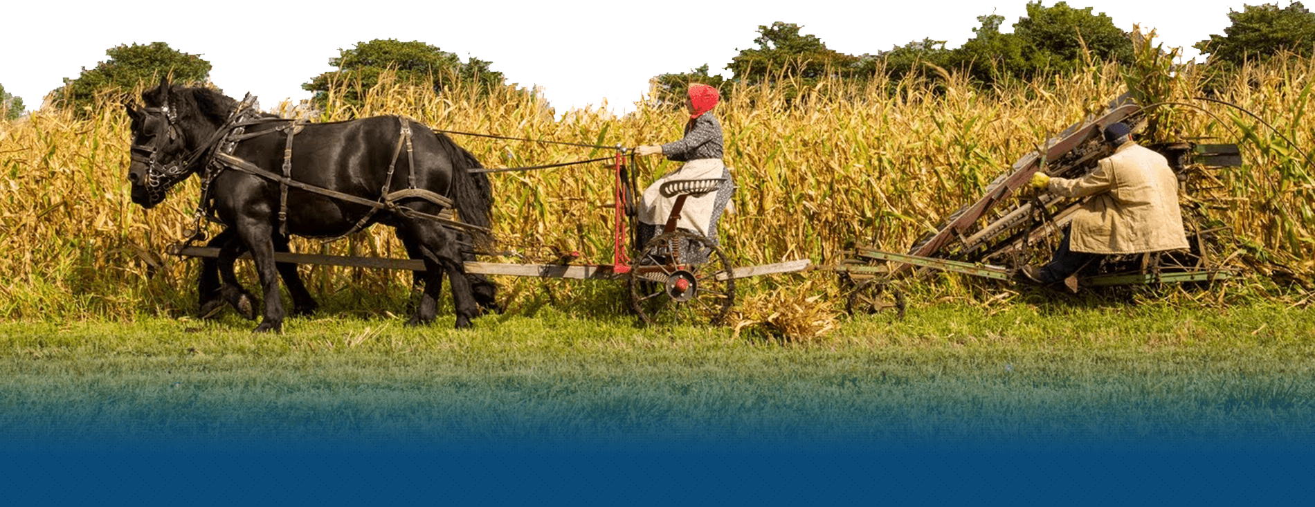 farming activities in india