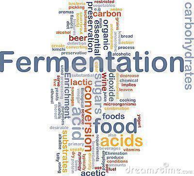 fermentation word cloud