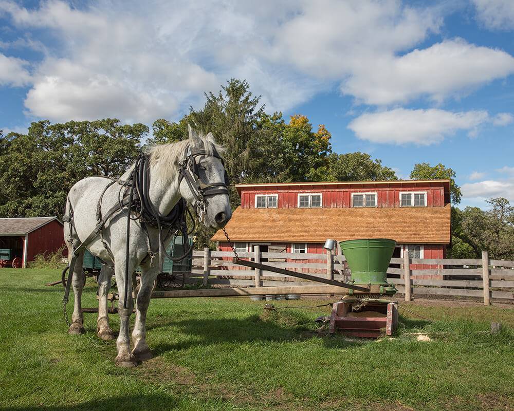 1900 Horse-Powered Farm - Living History Farms, Iowa