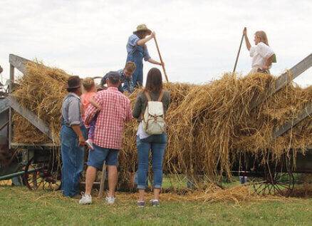 guests watching historic interpreters on hay wagon